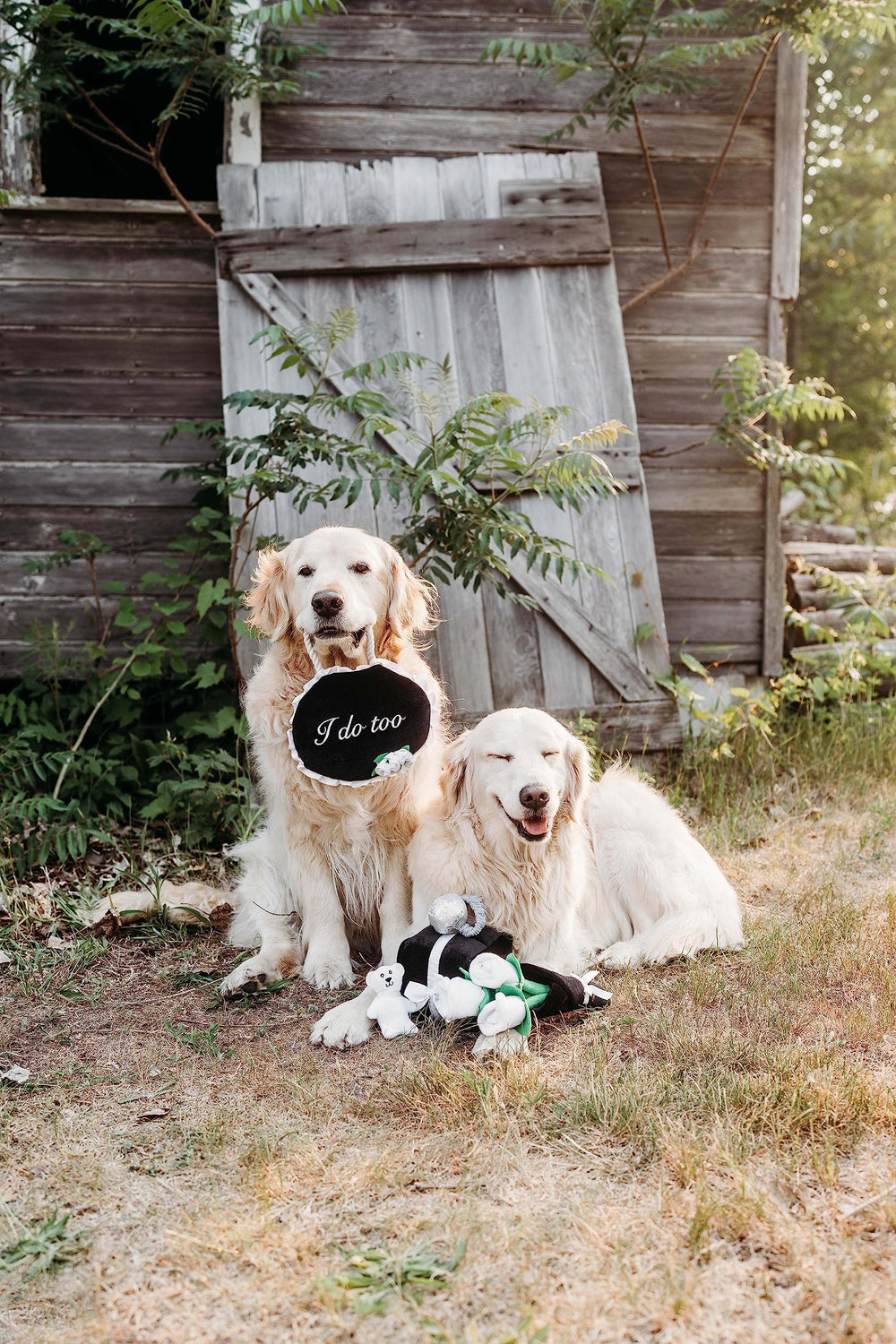zippypaws juguete para cachorros y perros medianos, apto para varias etapas.