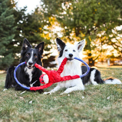 ZippyPaws RopeTugz: tamaño 28 pulgadas para perros de todas las tallas