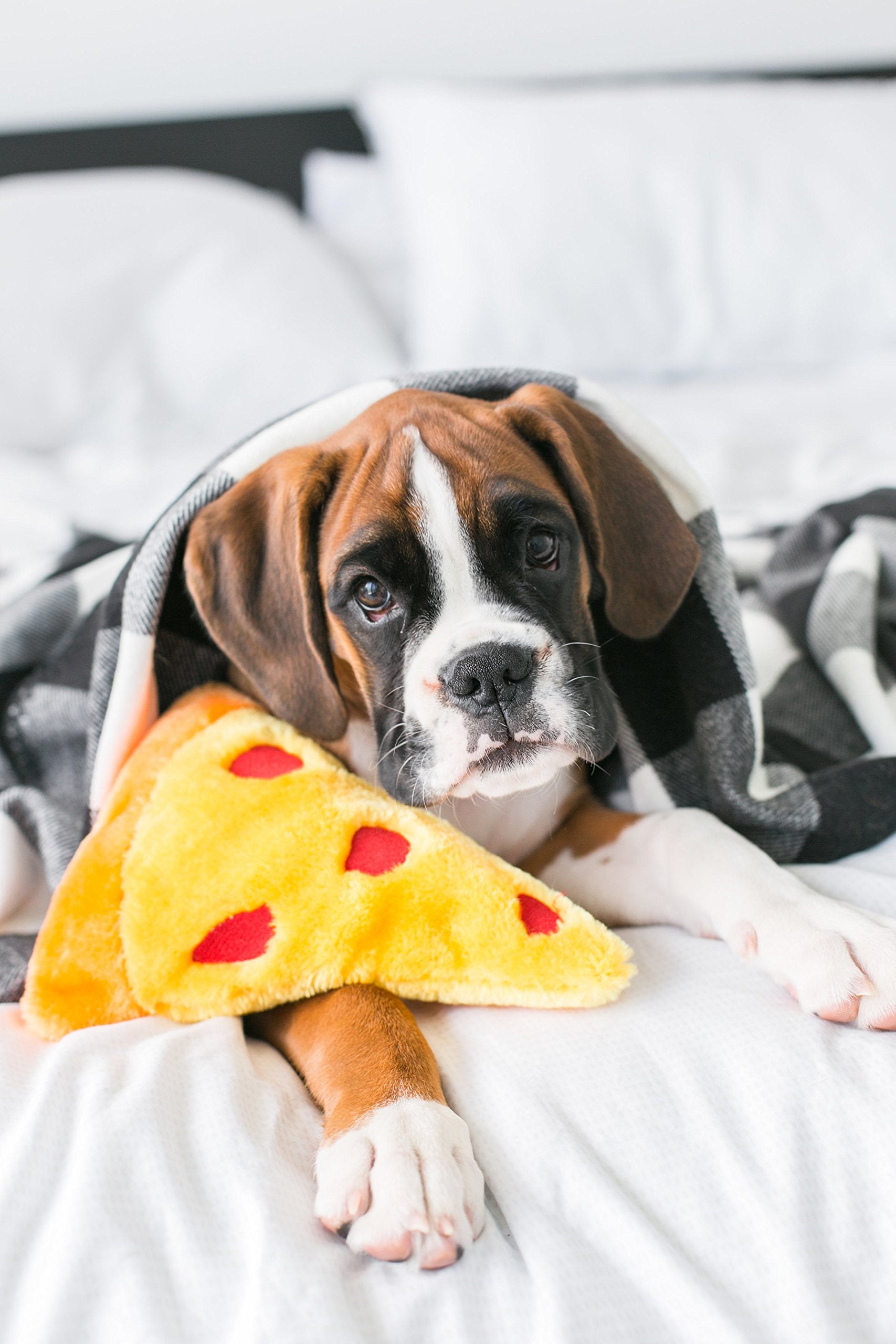 NomNomz Pizza, perfecto para juegos en casa y momentos de calma