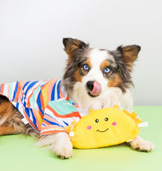 ZippyPaws NomNomz Taco: juguete con dos sonajeros para estimular la curiosidad