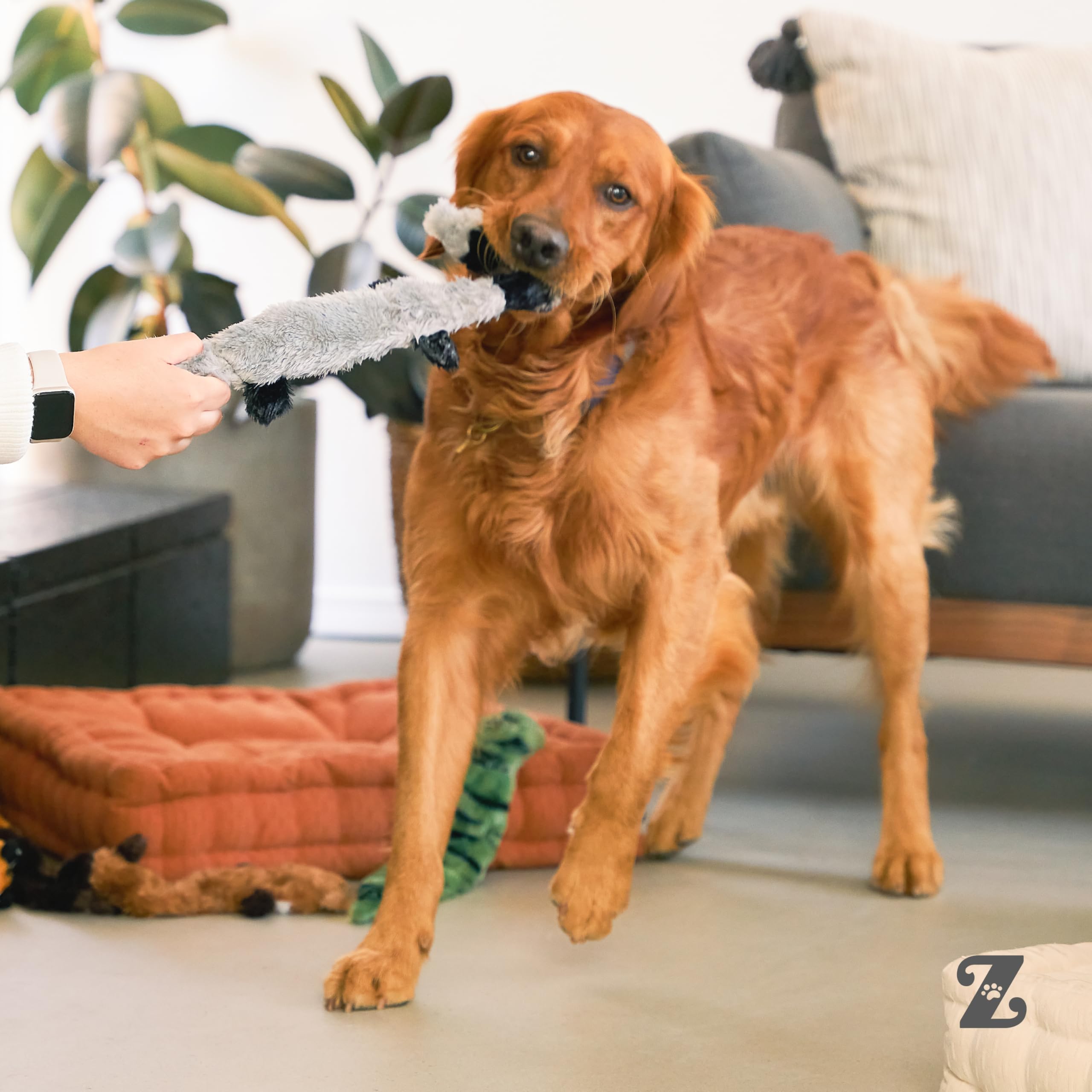 ZippyPaws Skinny Peltz serpientes del desierto: ideal para perros medianos y grandes