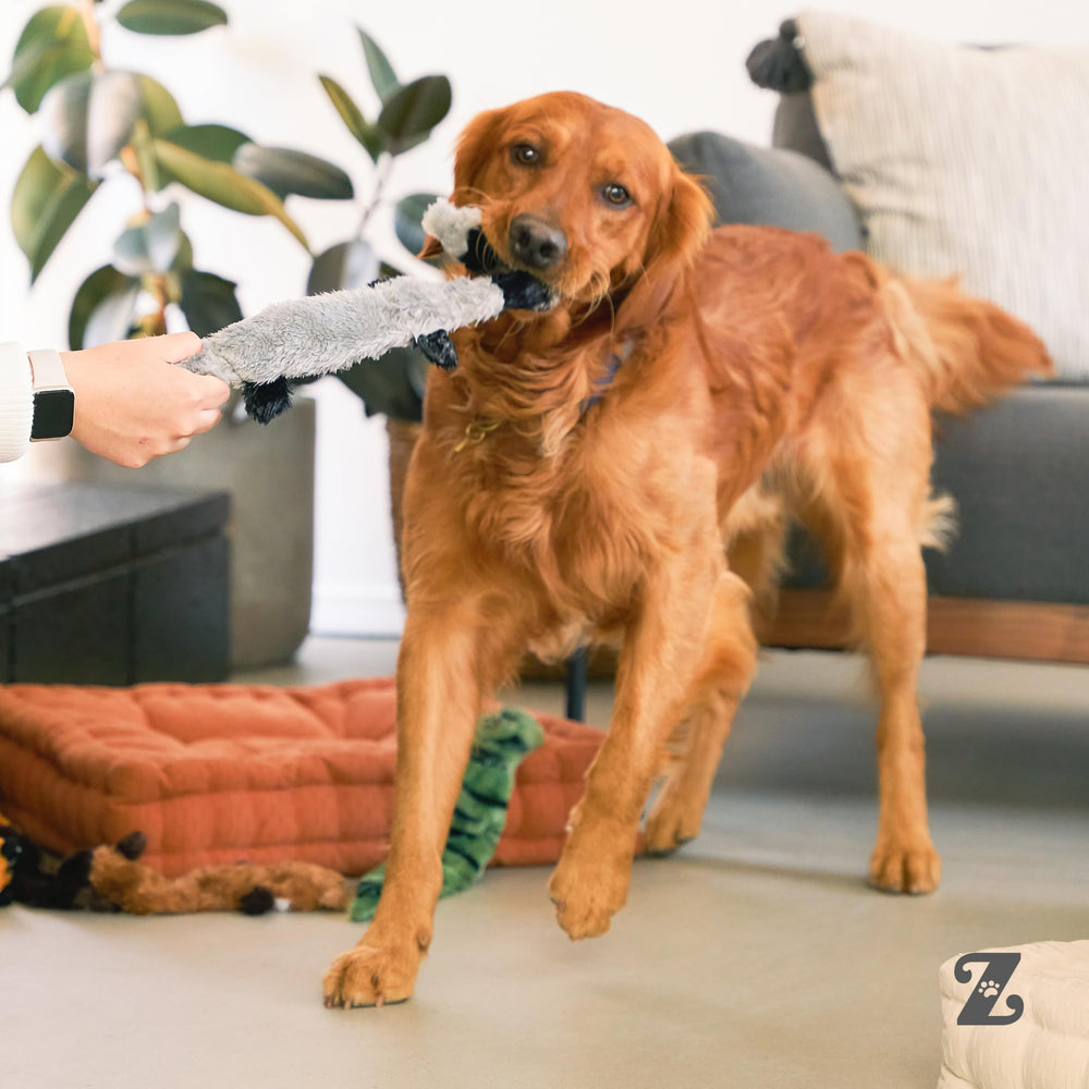 ZippyPaws Skinny Peltz textura suave para perros de todas las edades