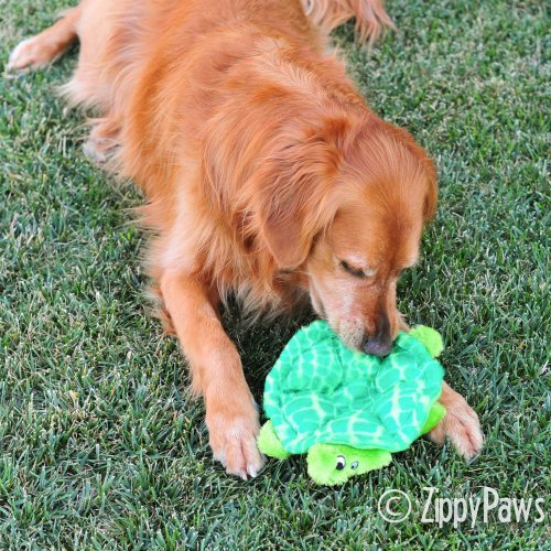 SlowPoke tortuga de ZippyPaws, peluche suave para juegos tiernos.