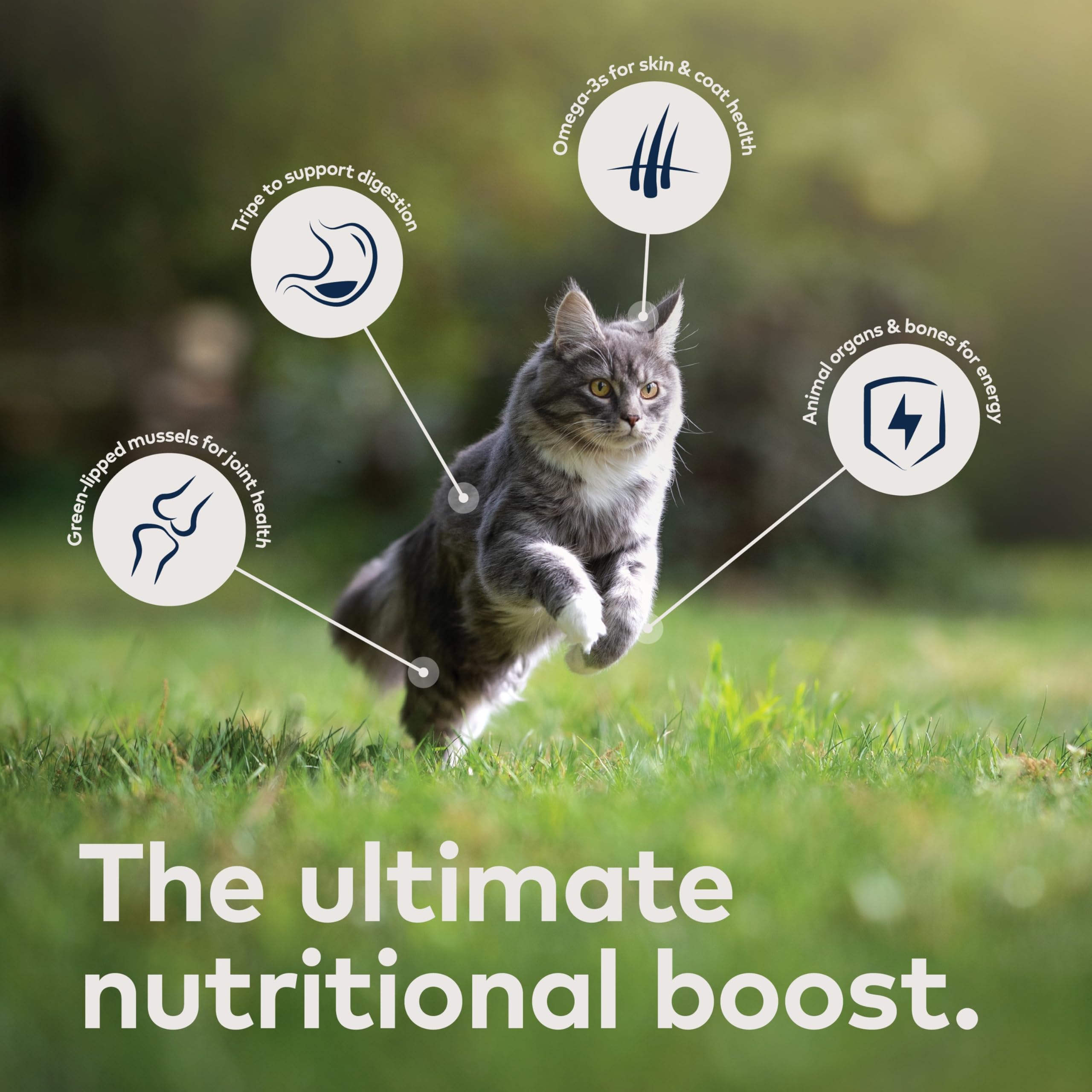 ZIWI Peak mejillones verdes de Nueva Zelanda: apoyo a la salud de articulaciones.
