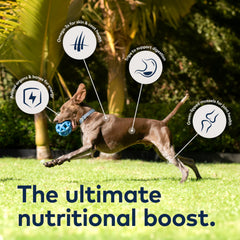 ZIWI Peak mejillones verdes de Nueva Zelanda, apoyo para articulaciones