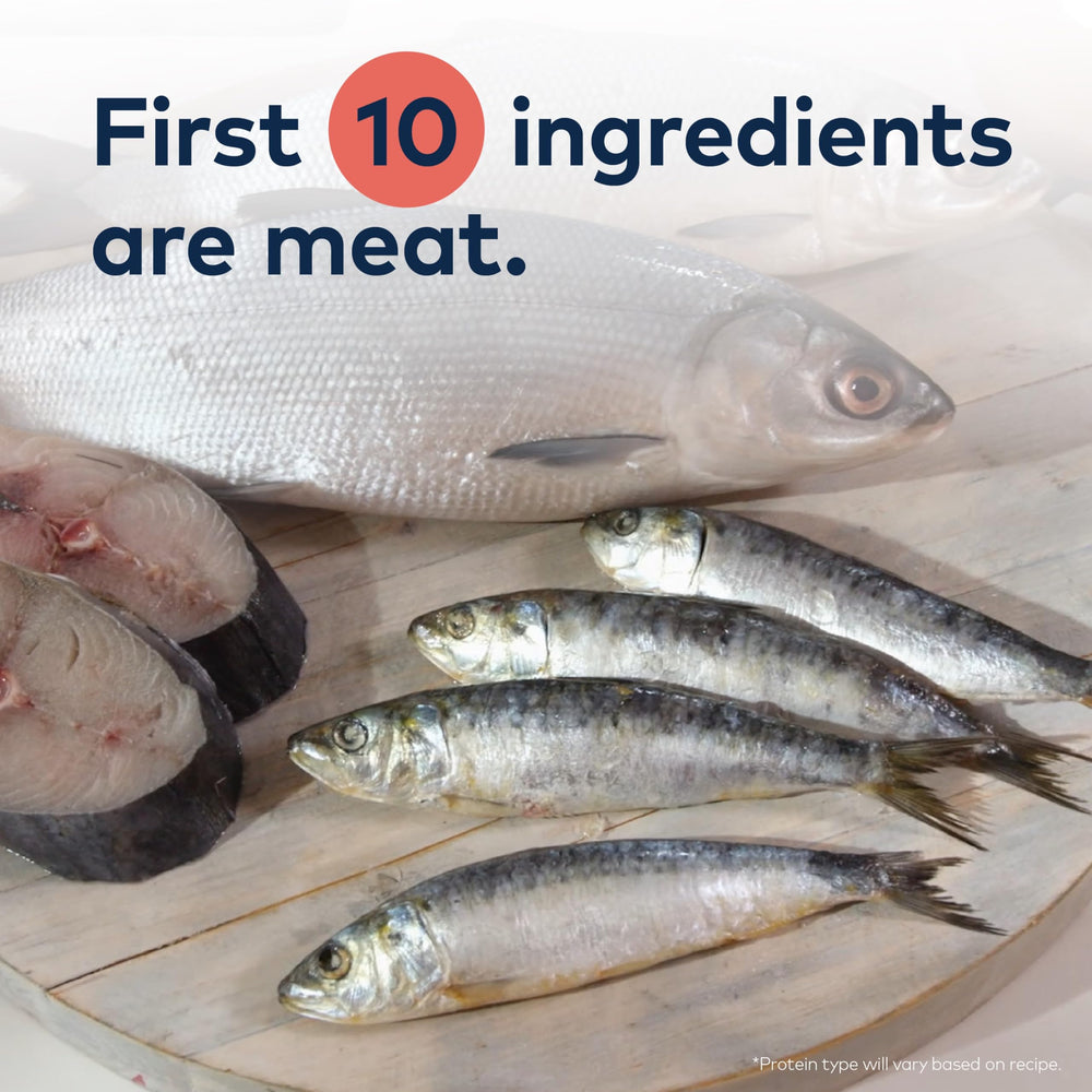 Pescado salvaje merluza austral para Omega-3 y pelaje sano.