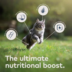 ZIWI Peak sin granos para una digestión más suave en gatos.