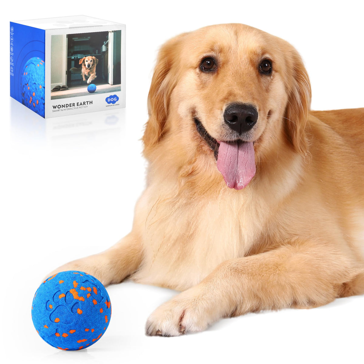 Zizimoko bola para perros interactiva con vibración para juego activo