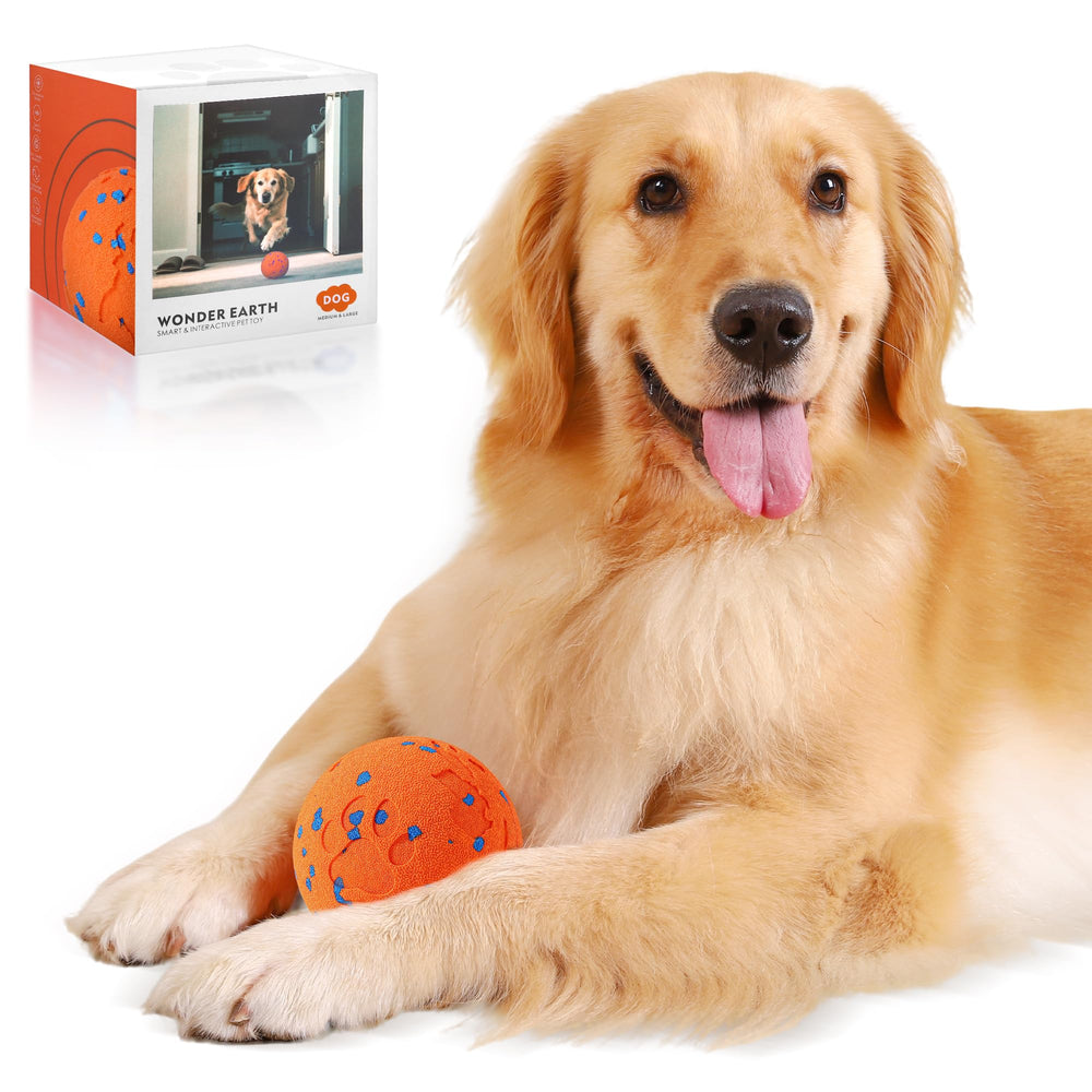 Zizimoko Pelota inteligente en movimiento para perros, juego activo.