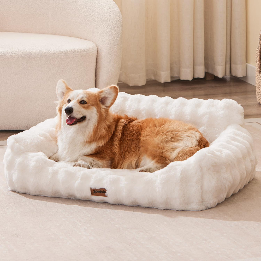 Sillón ortopédico ZOMISIA para perro con soporte para cabeza y cuello.