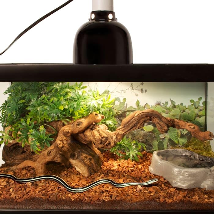 Zoo Med Corteza para Reptiles: control de humedad estable para hábitats tropicales.