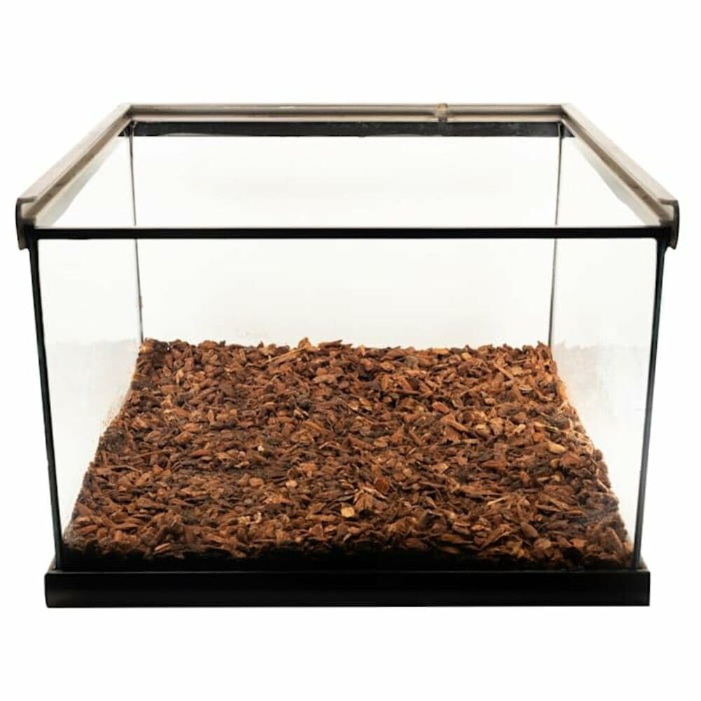 Zoo Med Repti Bark: aplicación rápida en sustrato para terrarios.