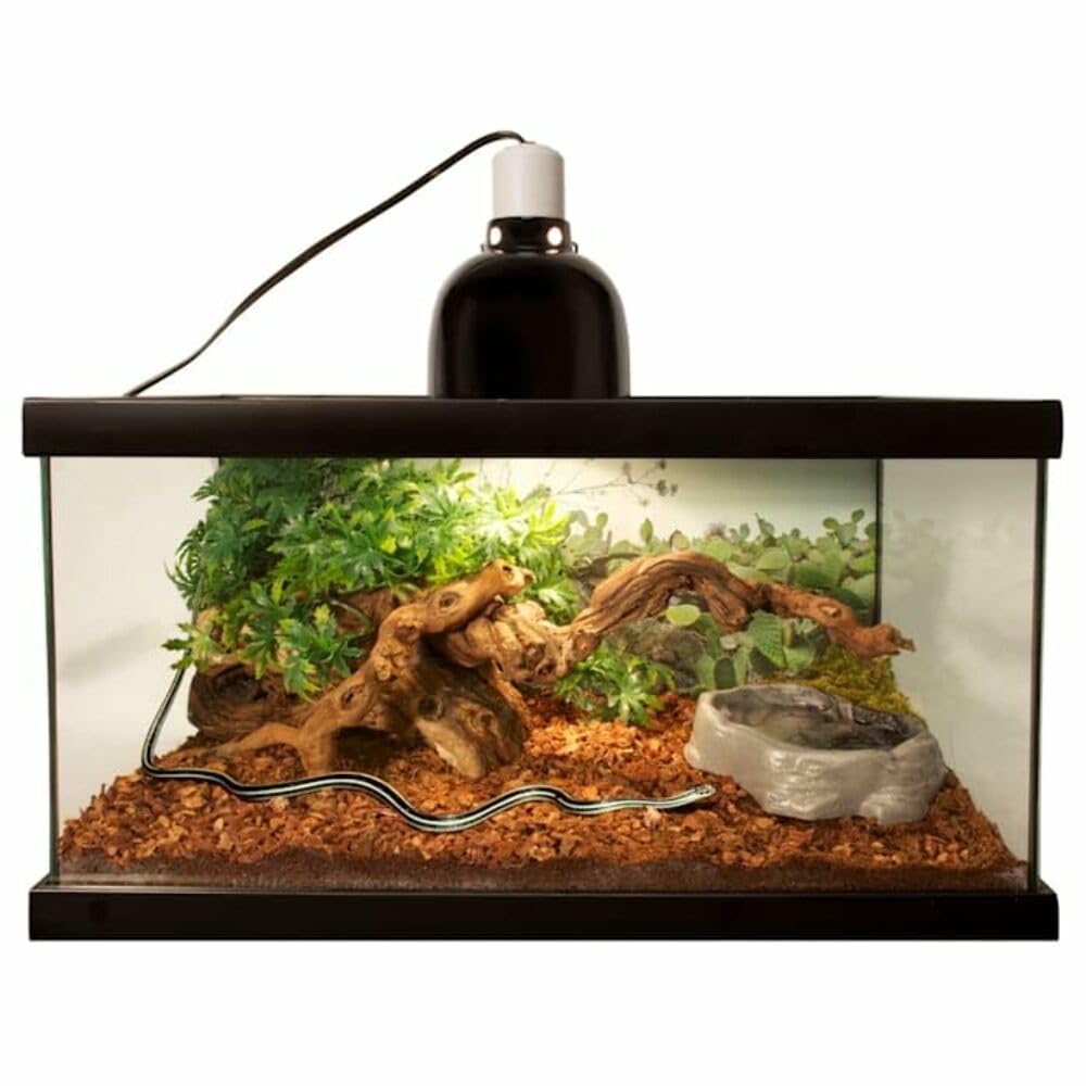 Zoo Med Repti Bark: hecho en EE. UU., sustrato seguro para reptiles.