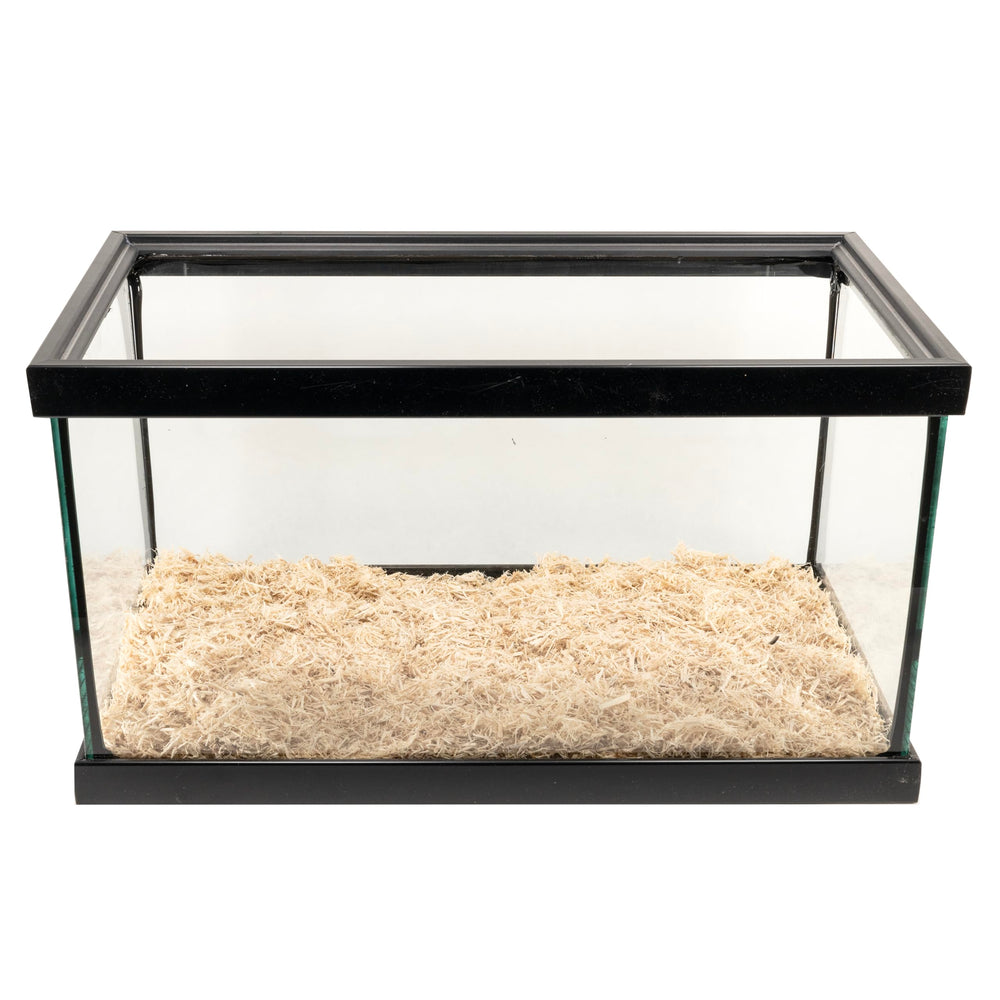 Zoo Med Aspen es verde y renovable para terrarios sostenibles.