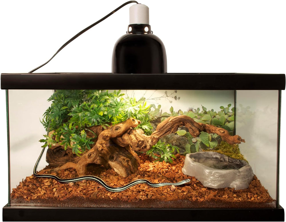 Zoo Med sustrato de corteza de abeto; absorbe y se reutiliza.