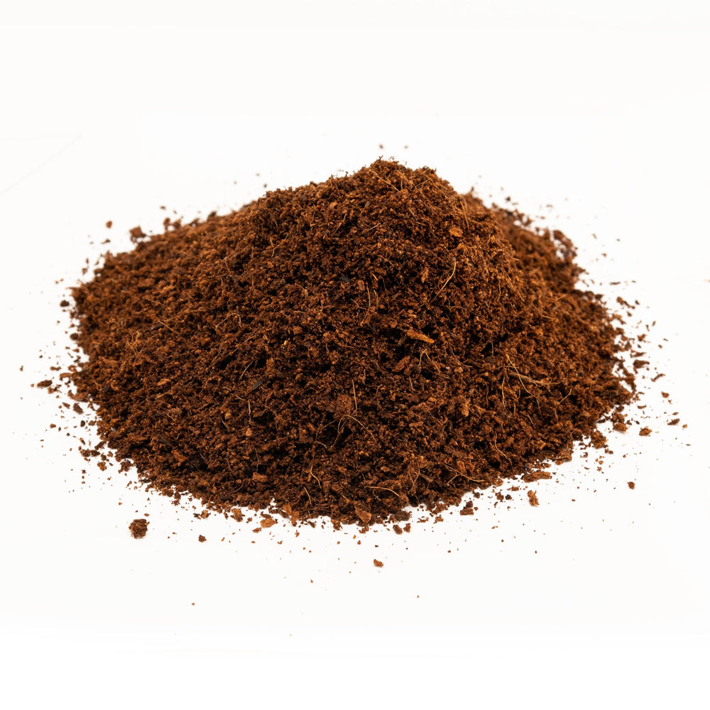 Zoo Med Eco Earth bloque coco compactado, crea un hábitat cómodo y limpio para tus reptiles.