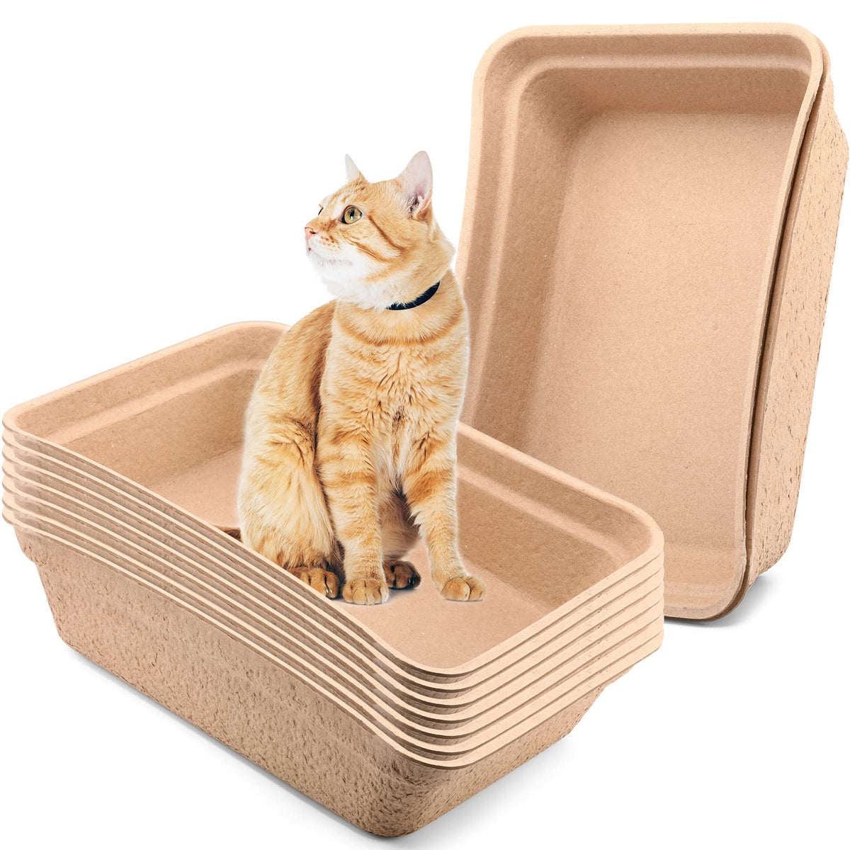 Zopeal caja-arena-gatos-desechable-grande, ideal para uso diario y limpieza rápida.