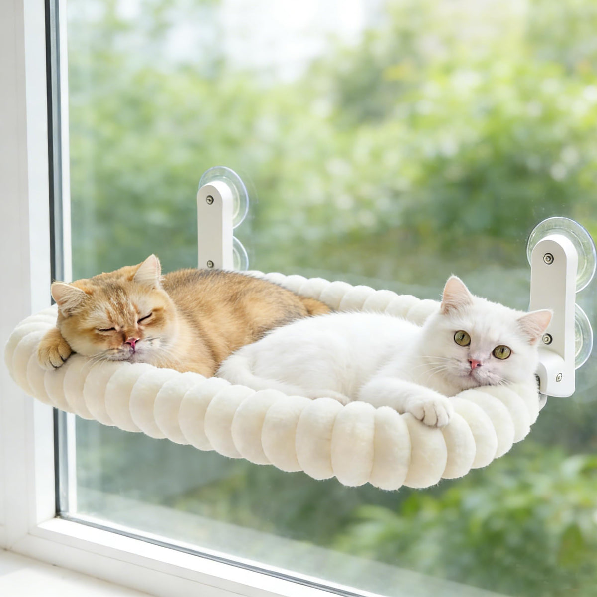Zoratoo hamaca-ventana-gato con cojín ofrece descanso cómodo para observar el exterior