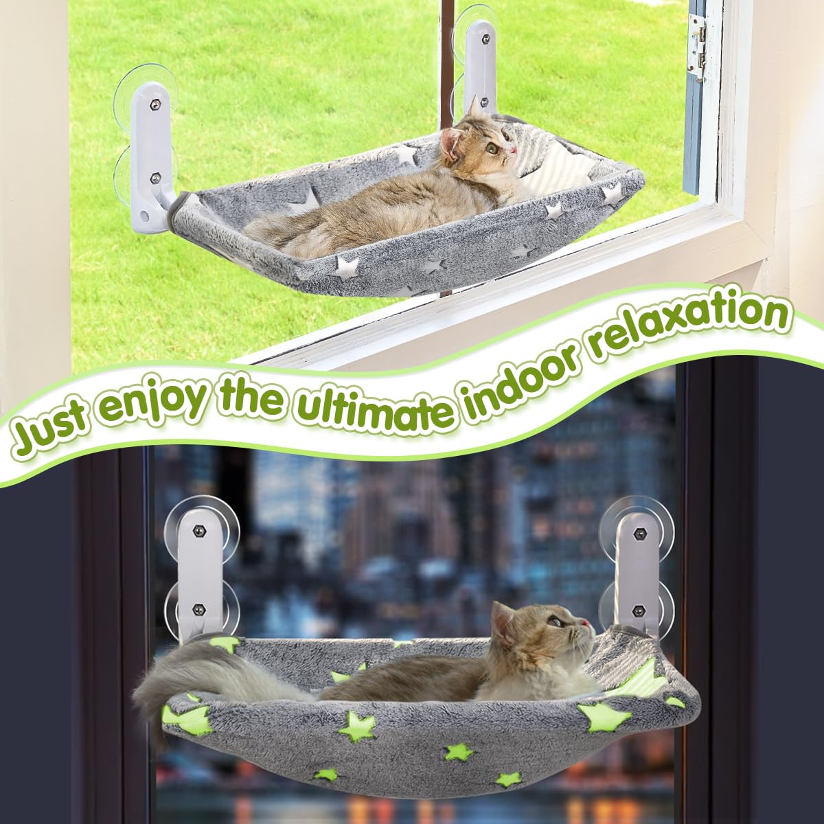 Zoratoo unidad doble ideal para hogares con múltiples gatos.