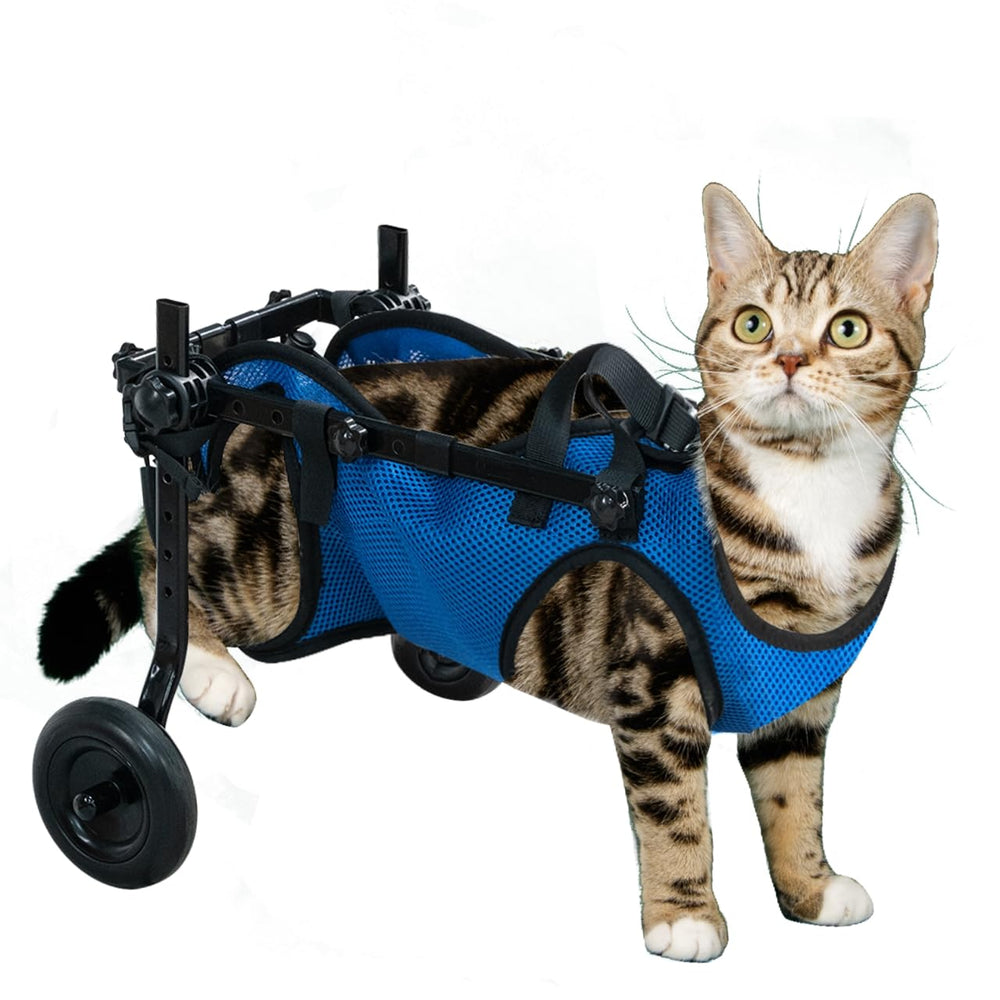 Zuagi silla rueda para perro, patas traseras ajustables para mayor movilidad.