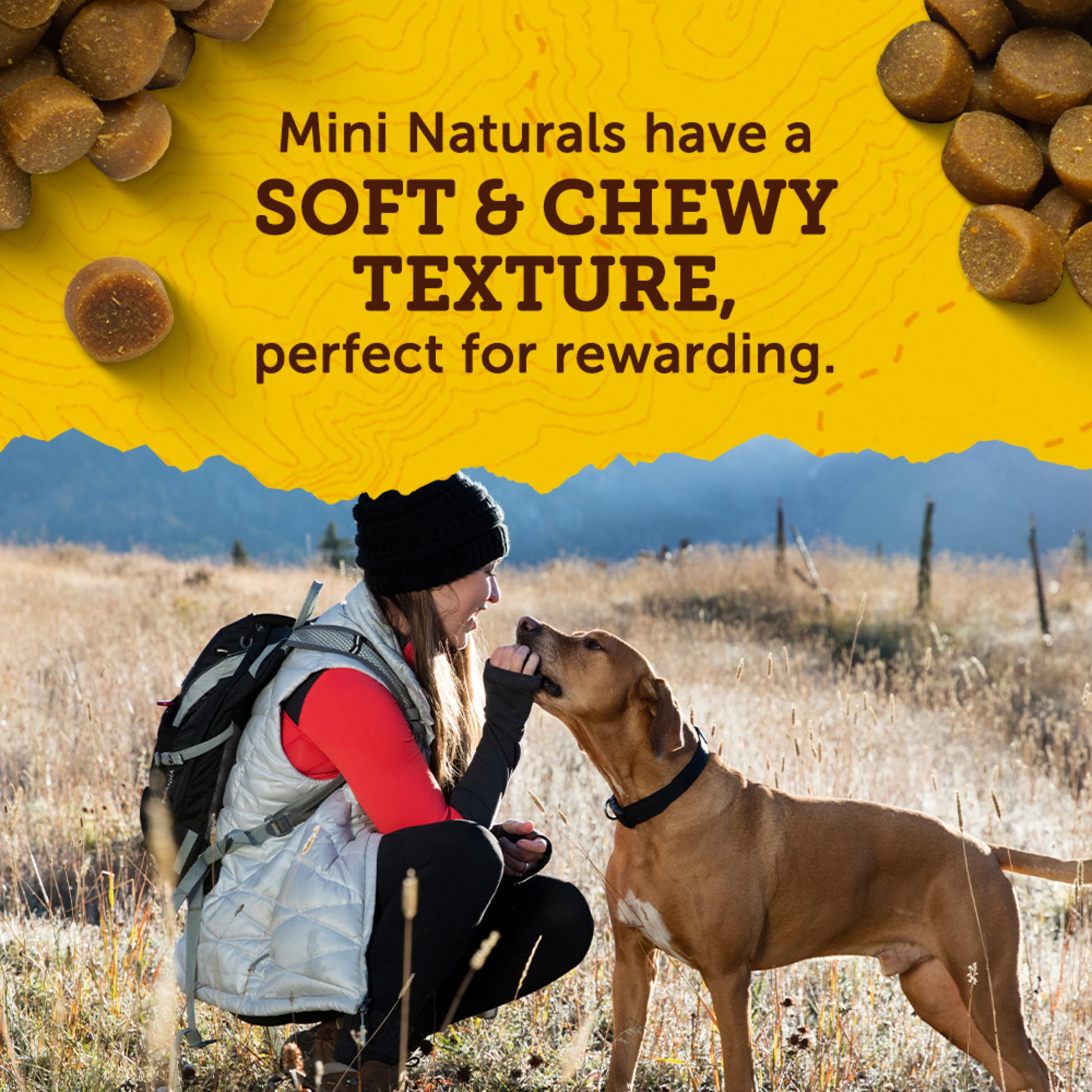 Zuke's Mini Naturals used during a dog training session