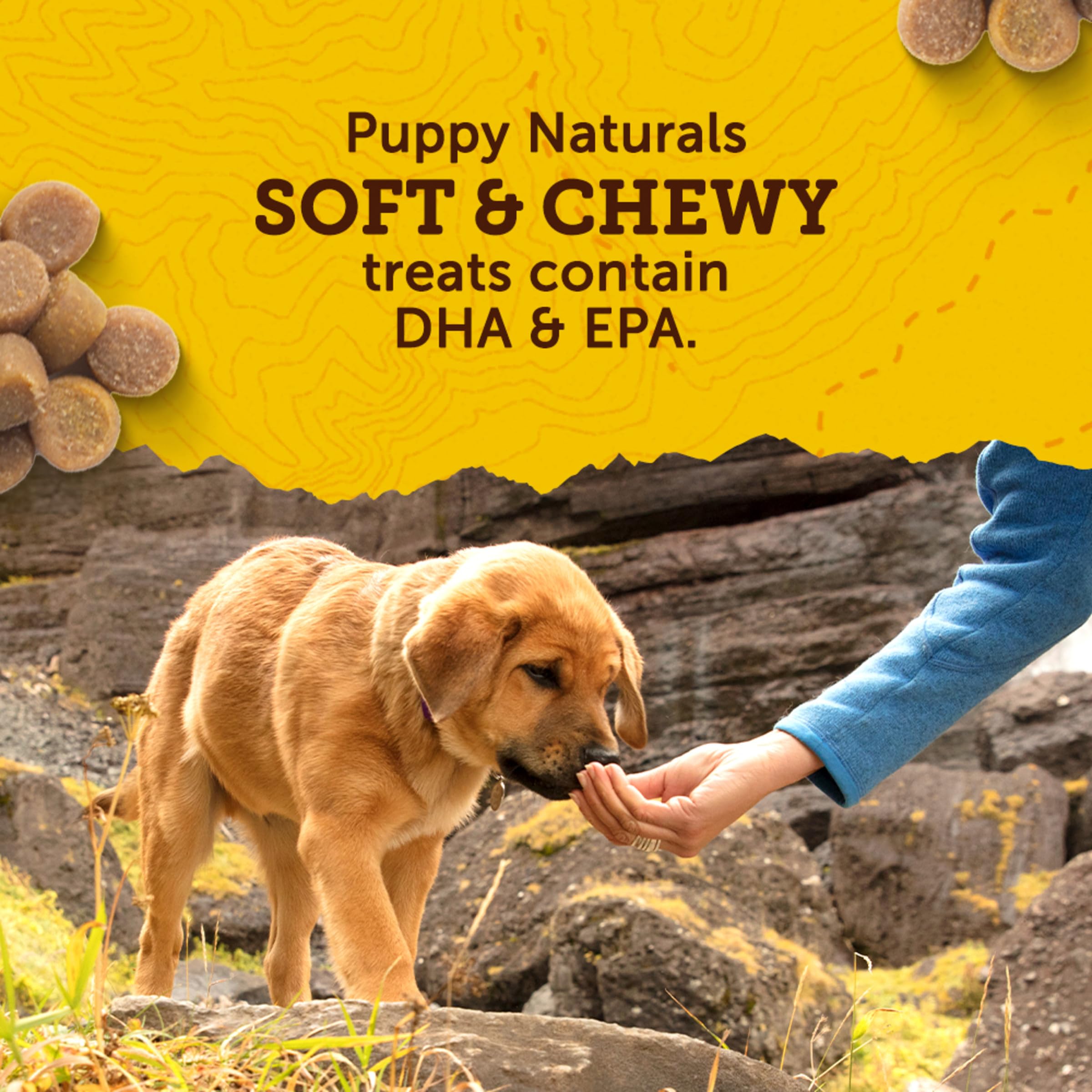 Zuke's Puppy Naturals con salmón y cerezas para sabor natural