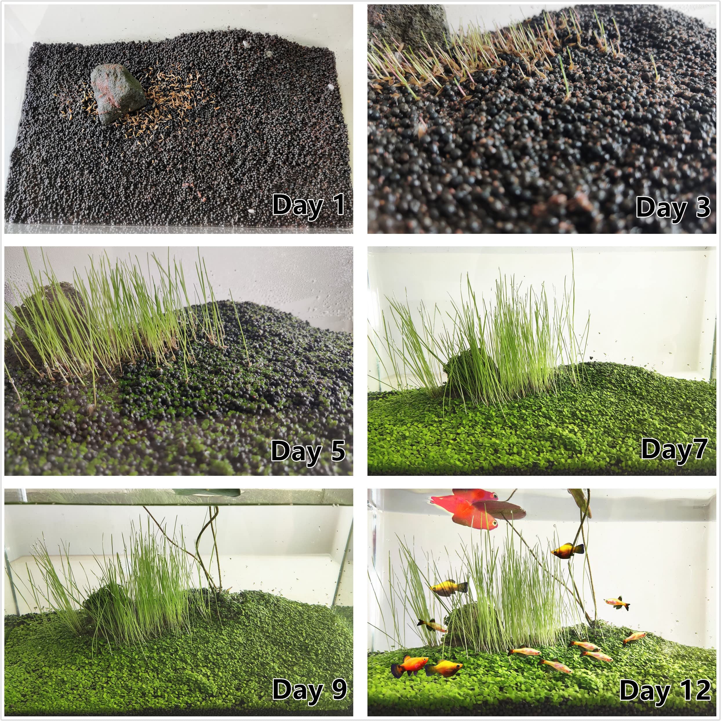 ZUQOVI conjunto de plantas acuáticas, paisaje subacuático dinámico