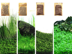 ZUQOVI 4 en 1 con hojas mini para acuario, mejora la estética y oxigenación.