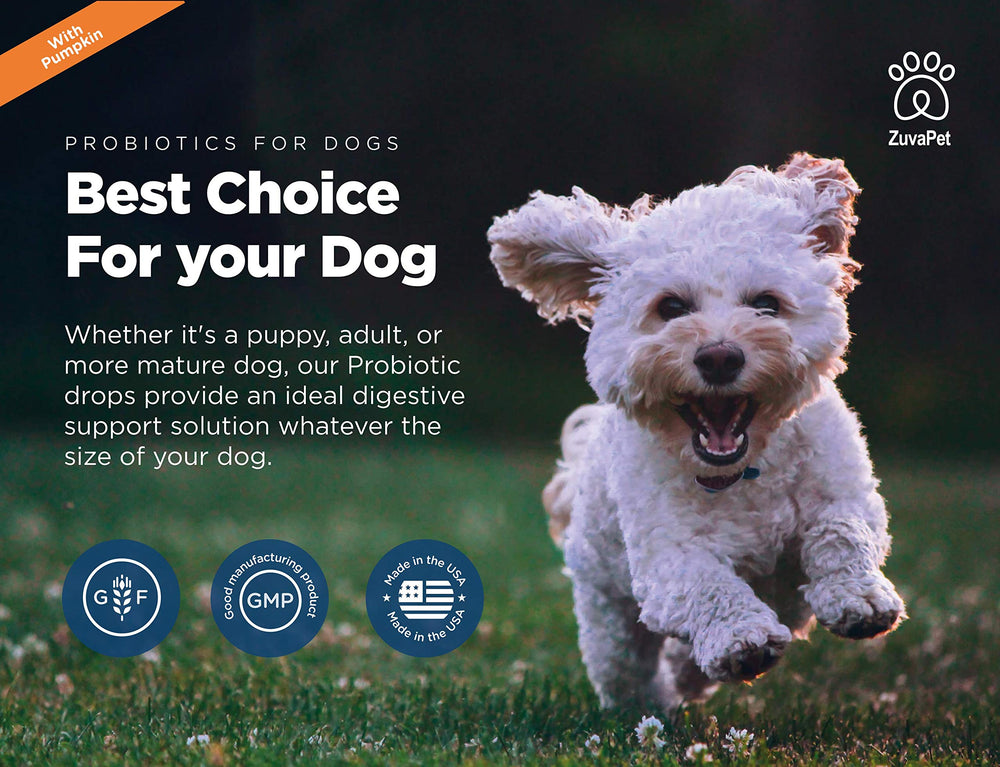 ZuvaPet probióticos para perros: apoyo digestivo diario para bienestar