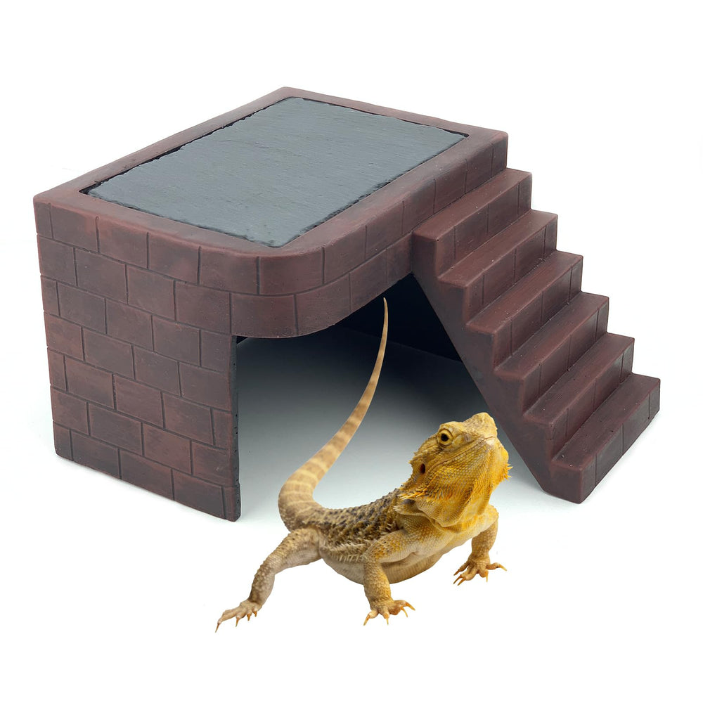 ZXUAQNOE plataforma dragon-barbudo grande para descanso estable.