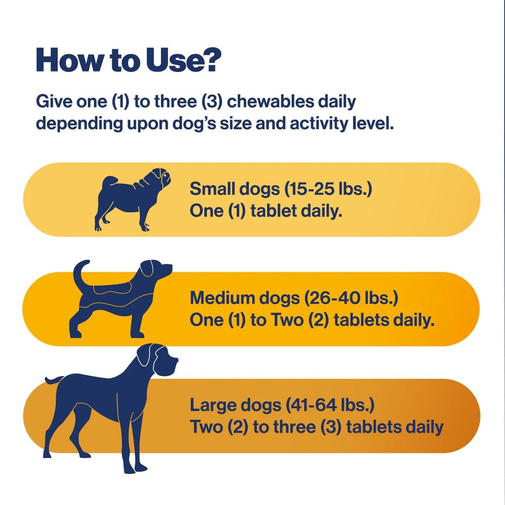 Uso diario de ZyCal Ostinol para perros de todas las tallas
