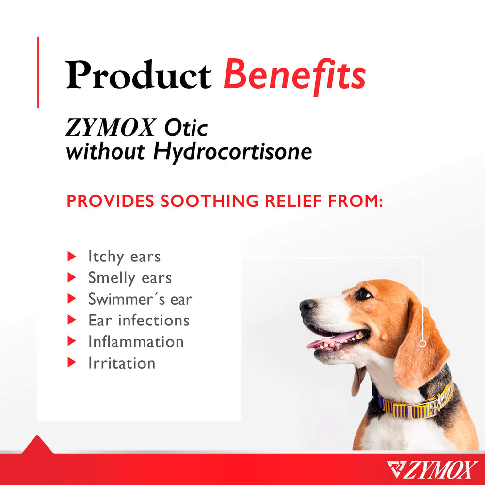 Zymox Otic, aplicación en la oreja de un perro para uso cómodo