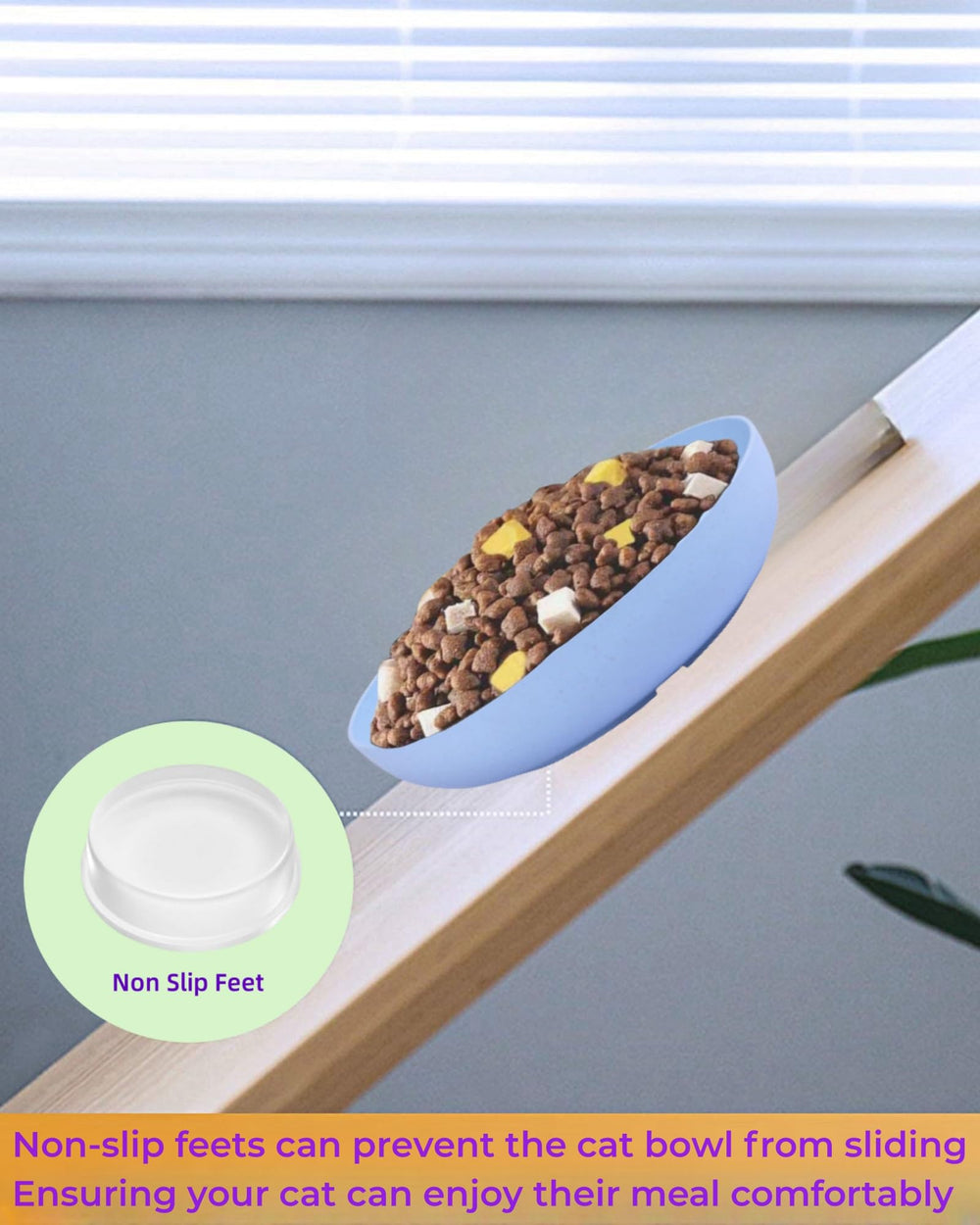 Tazones ZYUTONG de 5-5 pulgadas con borde bajo para bigotes cómodos.