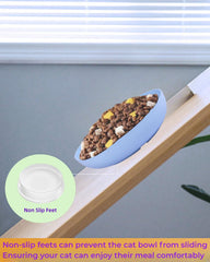 Tazones ZYUTONG de 5-5 pulgadas con borde bajo para bigotes cómodos.