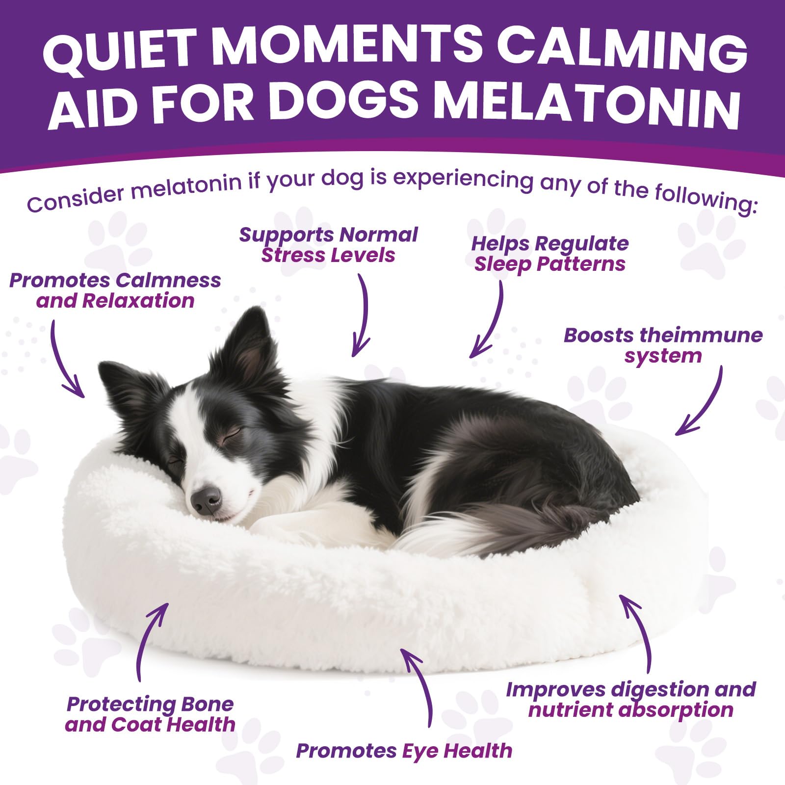 ZZTRMY Melatonina para Perros - dosis mezclada en comida para calma