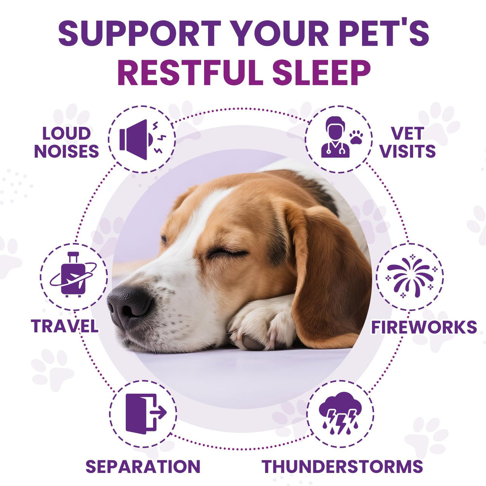 ZZTRMY Melatonina para Perros - fórmula con vitaminas y probióticos